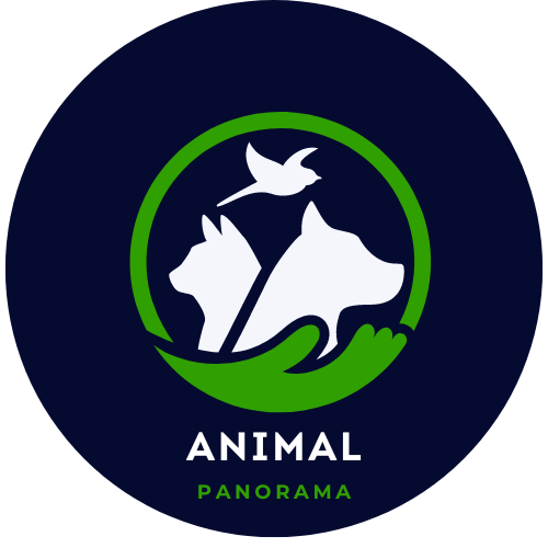 AnimalPanorama